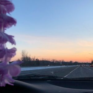 Meet your Posher, Casey